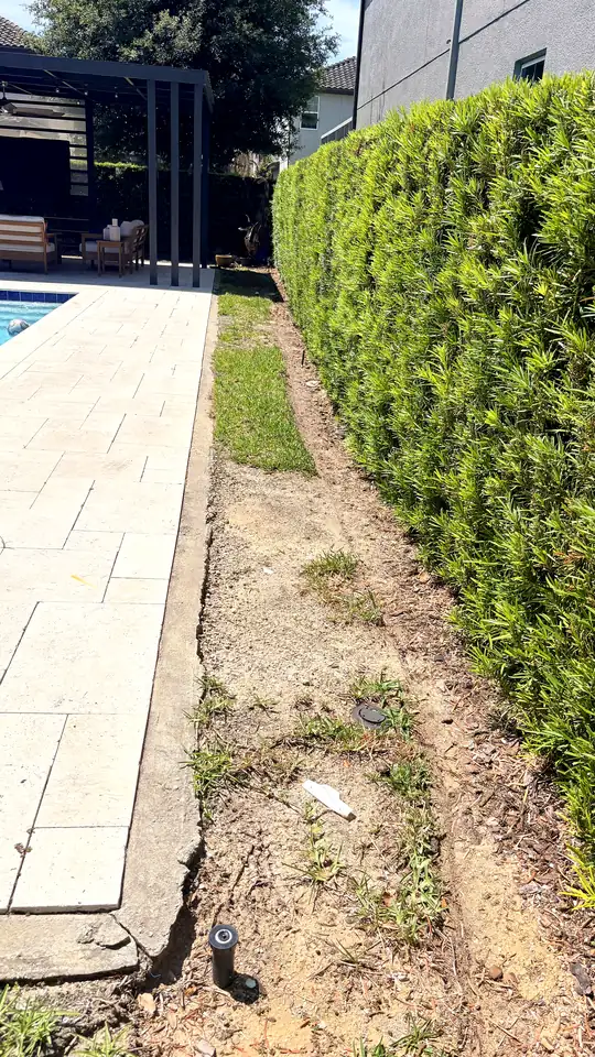 Bare soil and weeds along the pool deck
